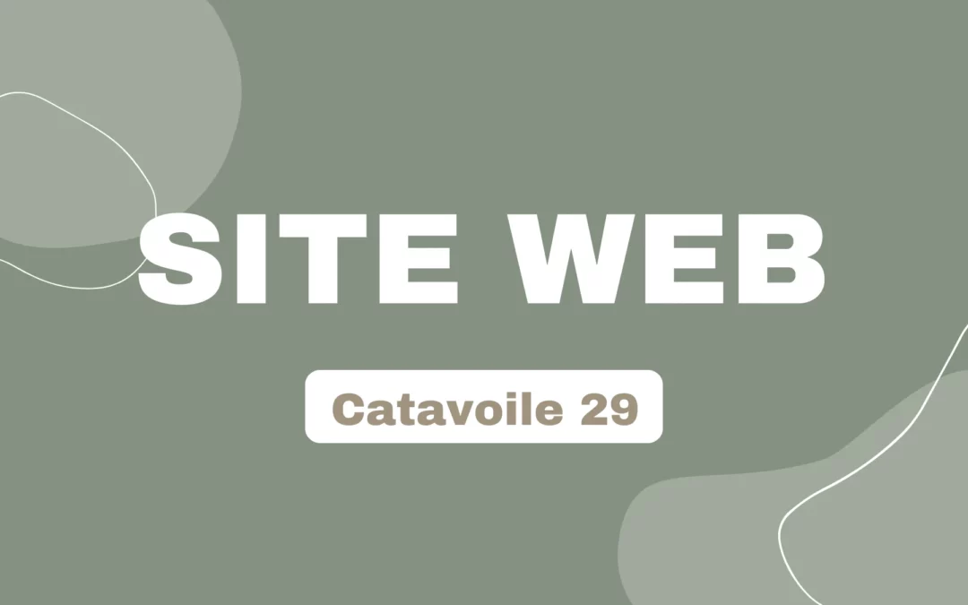 Catavoile 29