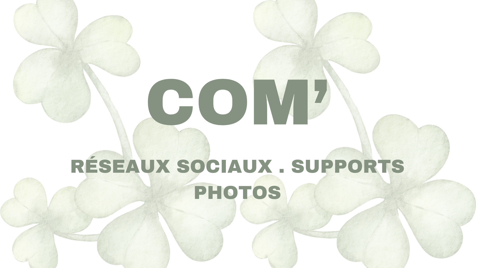 Tarifs Communication Christelle Hachet, Photographe, Site Web & Communication - Service de création de sites internet éco-conçus et supports de communication à Le Faou, Presqu'île de Crozon . Finistère
